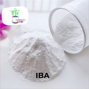 1 litre Köklendirme Hormonu (2gr İba)